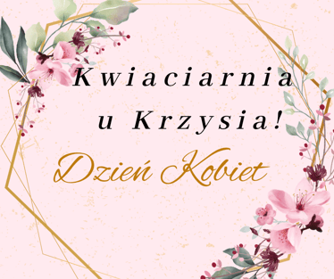 Main photo uploaded by the user