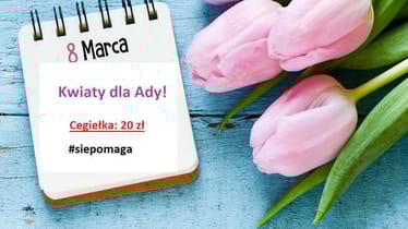 Zdjęcie główne wgrane przez użytkownika