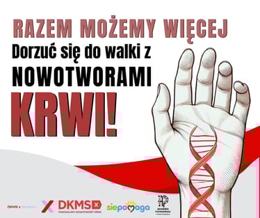 Main photo uploaded by the user