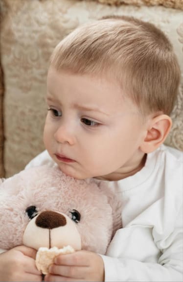 Main photo uploaded by the user