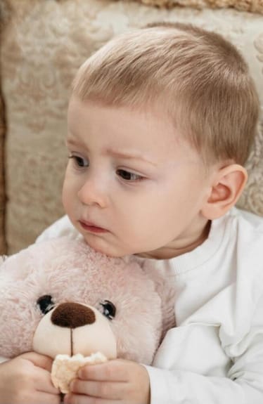 Main photo uploaded by the user