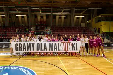 Zdjęcie główne wgrane przez użytkownika