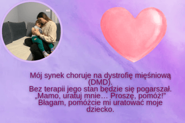 Main photo uploaded by the user