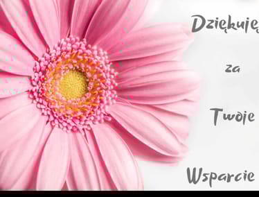 Zdjęcie główne wgrane przez użytkownika