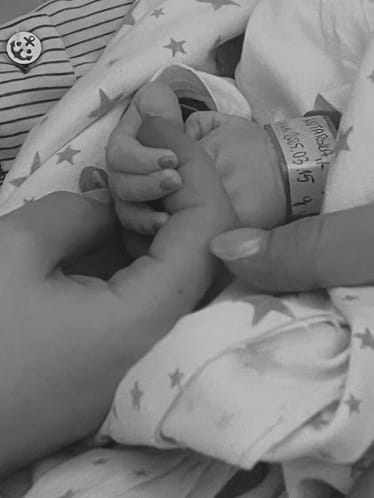 Main photo uploaded by the user