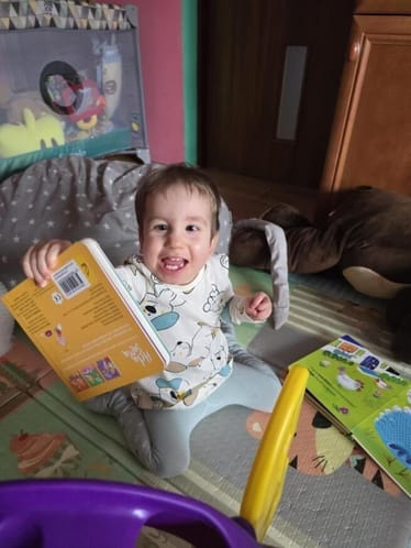 Zdjęcie główne wgrane przez użytkownika