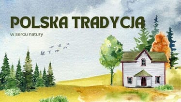 Zdjęcie główne wgrane przez użytkownika