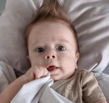 Zdjęcie główne wgrane przez użytkownika