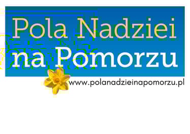 Main photo uploaded by the user