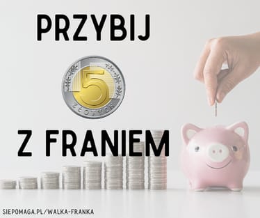 Zdjęcie główne wgrane przez użytkownika