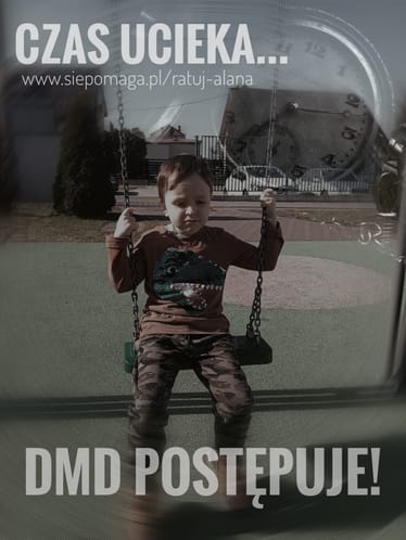 Zdjęcie główne wgrane przez użytkownika