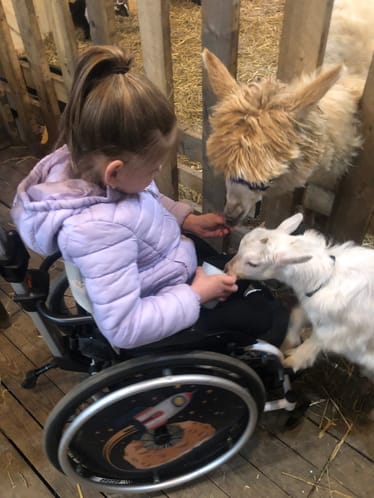 Main photo uploaded by the user