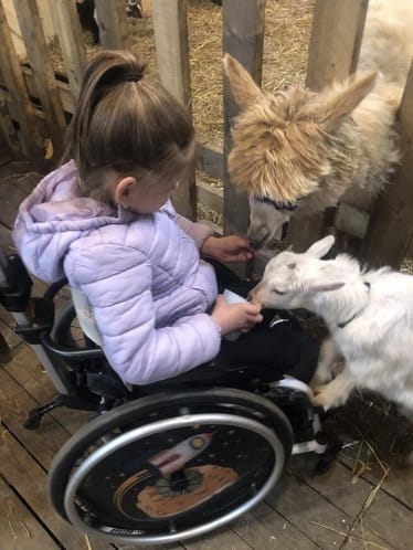 Zdjęcie główne wgrane przez użytkownika