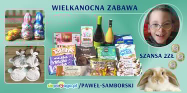 Zdjęcie główne wgrane przez użytkownika