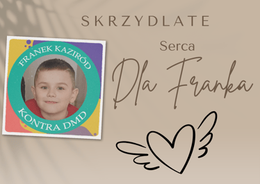 Zdjęcie główne wgrane przez użytkownika