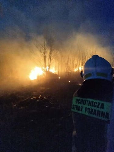 Zdjęcie główne wgrane przez użytkownika