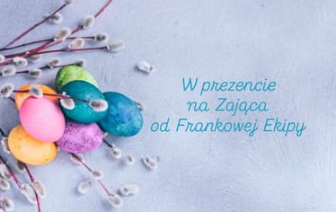 Zdjęcie główne wgrane przez użytkownika