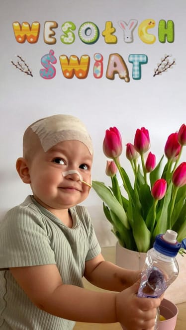 Zdjęcie główne wgrane przez użytkownika