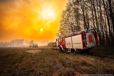 Zdjęcie główne wgrane przez użytkownika