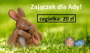 Zdjęcie główne wgrane przez użytkownika