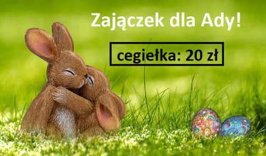 Zdjęcie główne wgrane przez użytkownika