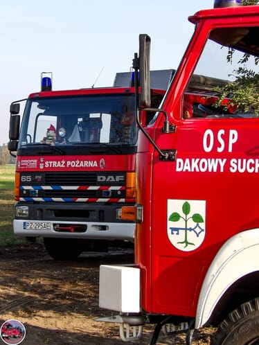 Zdjęcie główne wgrane przez użytkownika