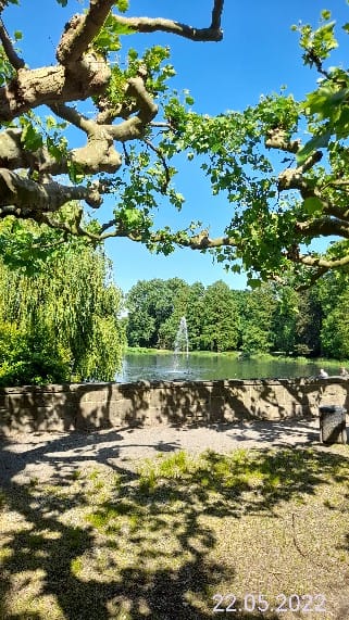 Zdjęcie główne wgrane przez użytkownika