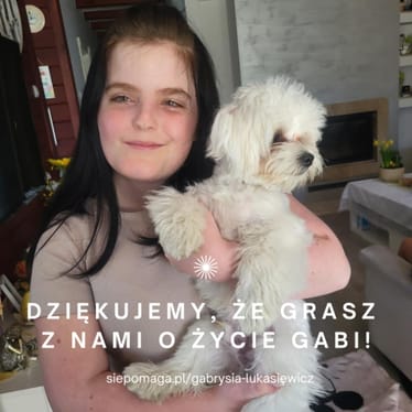 Zdjęcie główne wgrane przez użytkownika