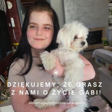 Main photo uploaded by the user