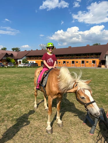 Main photo uploaded by the user