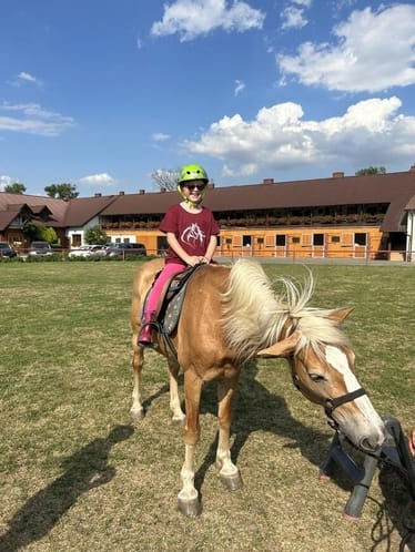 Zdjęcie główne wgrane przez użytkownika