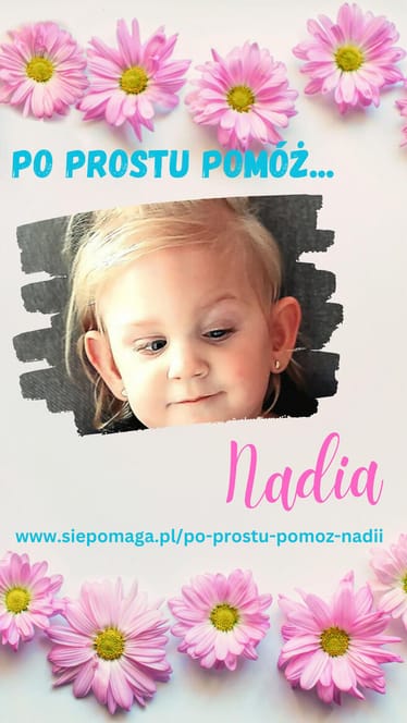 Zdjęcie główne wgrane przez użytkownika