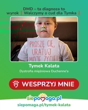 Zdjęcie główne wgrane przez użytkownika