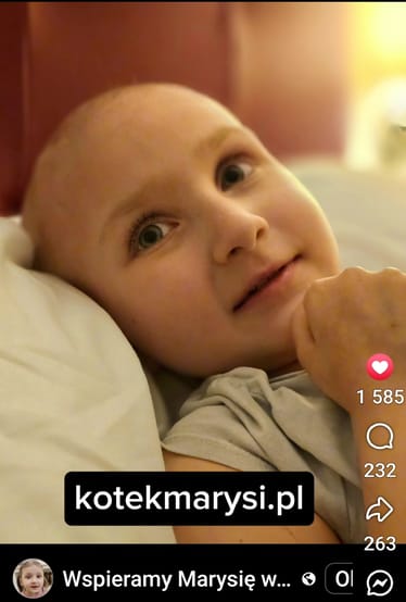 Main photo uploaded by the user