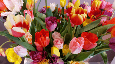 Zdjęcie główne wgrane przez użytkownika