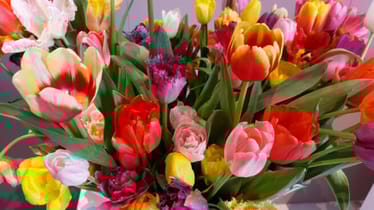 Zdjęcie główne wgrane przez użytkownika