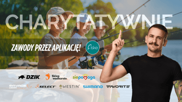 Zdjęcie główne wgrane przez użytkownika