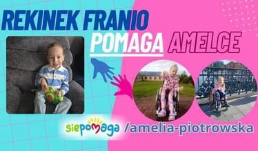 Zdjęcie główne wgrane przez użytkownika