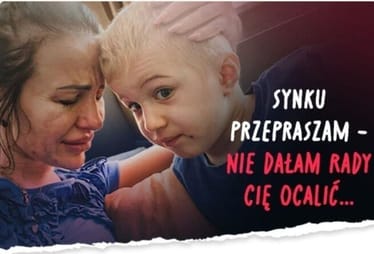 Main photo uploaded by the user