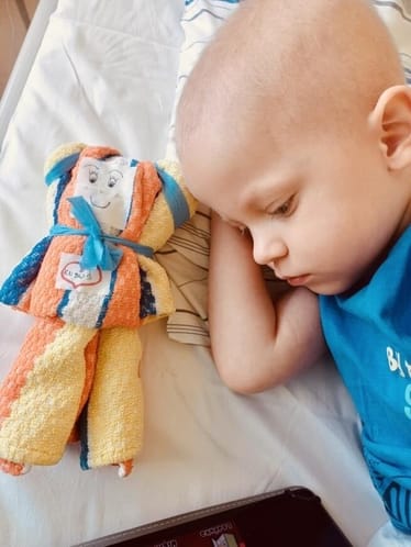 Zdjęcie główne wgrane przez użytkownika