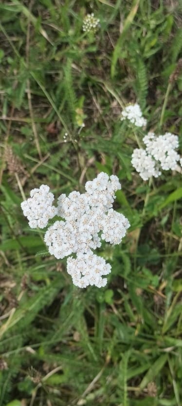 Main photo uploaded by the user