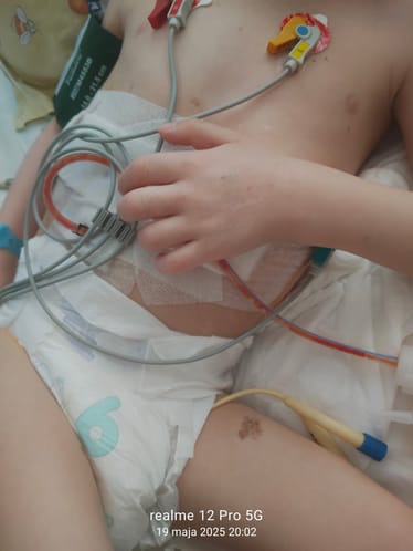 Zdjęcie główne wgrane przez użytkownika