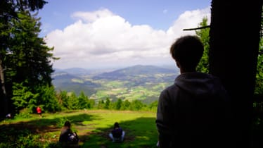 Zdjęcie główne wgrane przez użytkownika