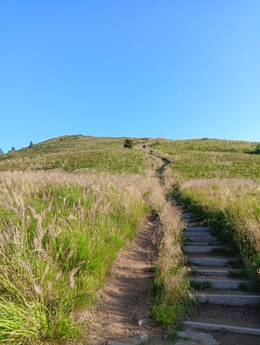 Zdjęcie główne wgrane przez użytkownika