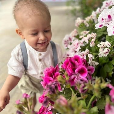 Zdjęcie główne wgrane przez użytkownika