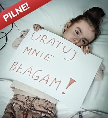 Main photo uploaded by the user