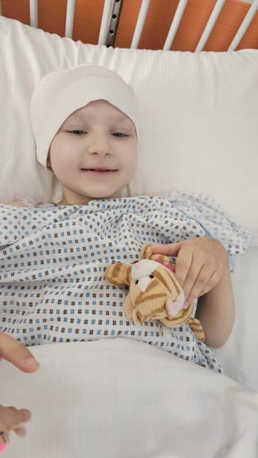 Zdjęcie główne wgrane przez użytkownika