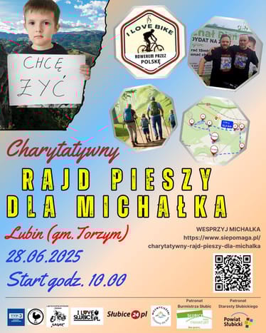 Zdjęcie główne wgrane przez użytkownika