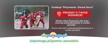 Zdjęcie główne wgrane przez użytkownika