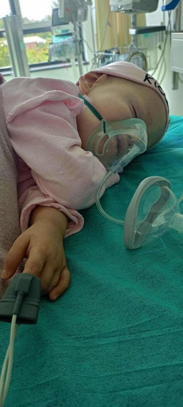 Zdjęcie główne wgrane przez użytkownika